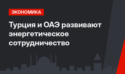 Турция и ОАЭ развивают энергетическое сотрудничество