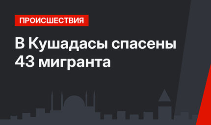 В Кушадасы спасены 43 мигранта