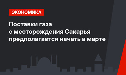 Поставки газа с месторождения Сакарья предполагается начать в марте