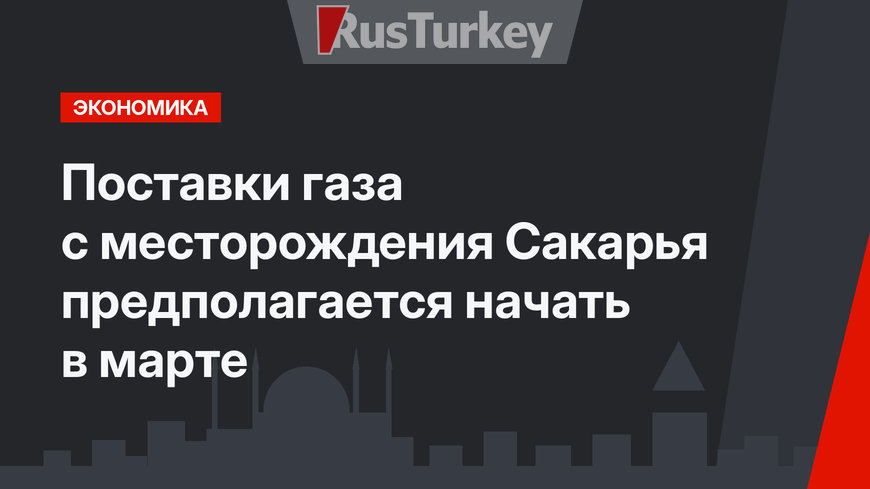 Поставки газа с месторождения Сакарья предполагается начать в марте