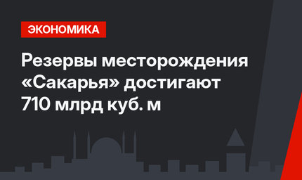 Резервы месторождения «Сакарья» достигают 710 млрд куб. м