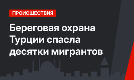 Береговая охрана Турции спасла десятки мигрантов