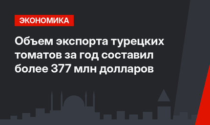 Объем экспорта турецких томатов за год составил  более 377 млн долларов