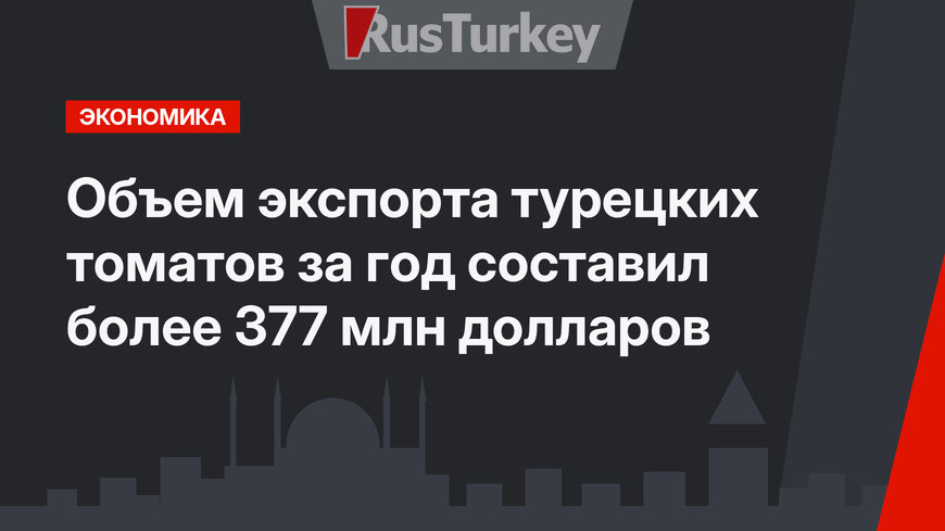 Объем экспорта турецких томатов за год составил  более 377 млн долларов