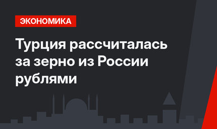 Турция рассчиталась за зерно из России рублями