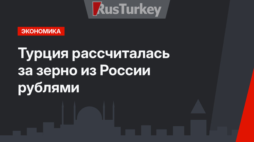 Турция рассчиталась за зерно из России рублями