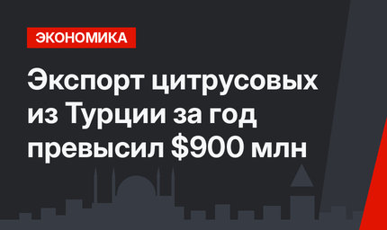 Экспорт цитрусовых из Турции за год превысил $900 млн