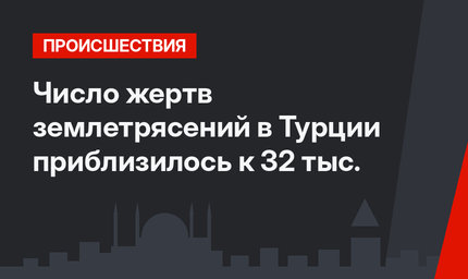Число жертв землетрясений  в Турции приблизилось к 32 тыс.