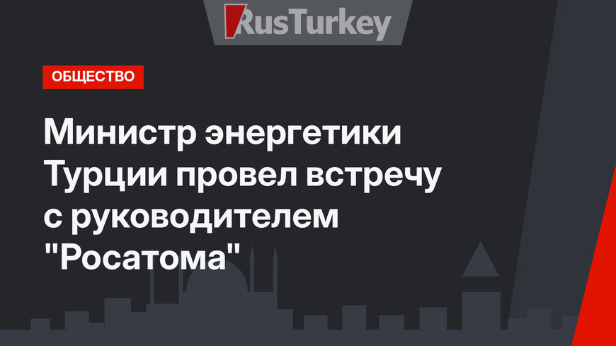 Министр энергетики Турции провел встречу с руководителем "Росатома"