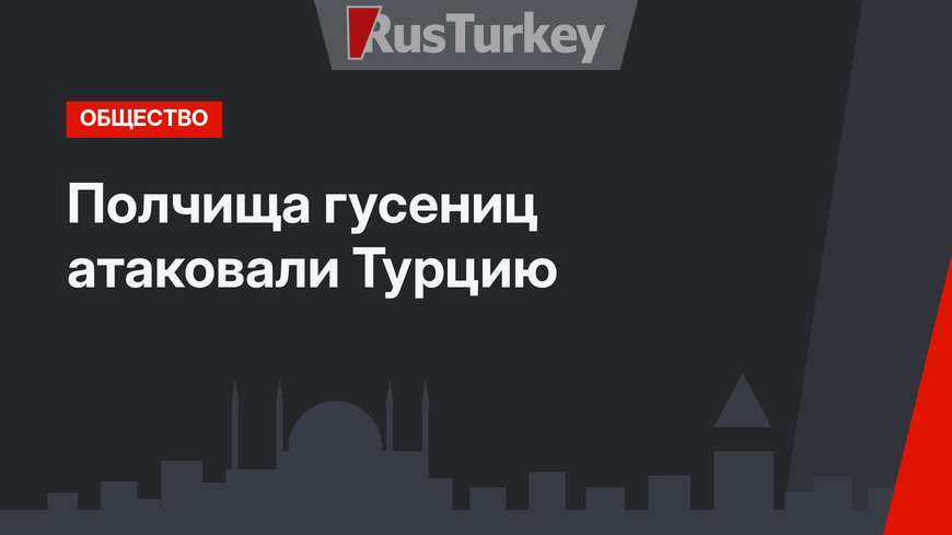Полчища гусениц атаковали Турцию