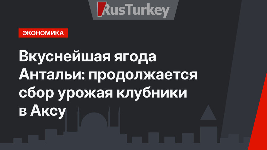 Вкуснейшая ягода Антальи: продолжается сбор урожая клубники в Аксу