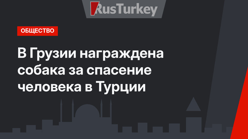 В Грузии награждена собака за спасение человека в Турции