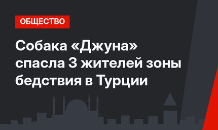 Собака «Джуна» спасла 3 жителей зоны бедствия в Турции