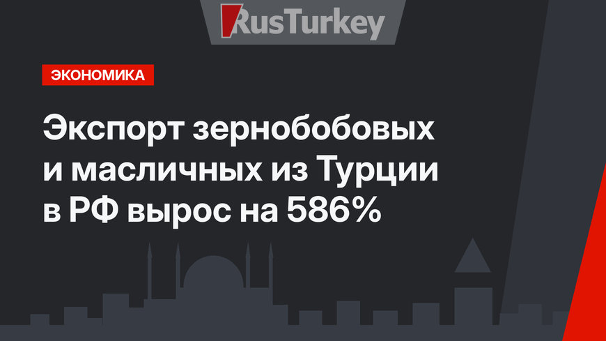 Экспорт зернобобовых и масличных из Турции в РФ вырос на 586%