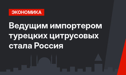 Ведущим импортером турецких цитрусовых стала Россия