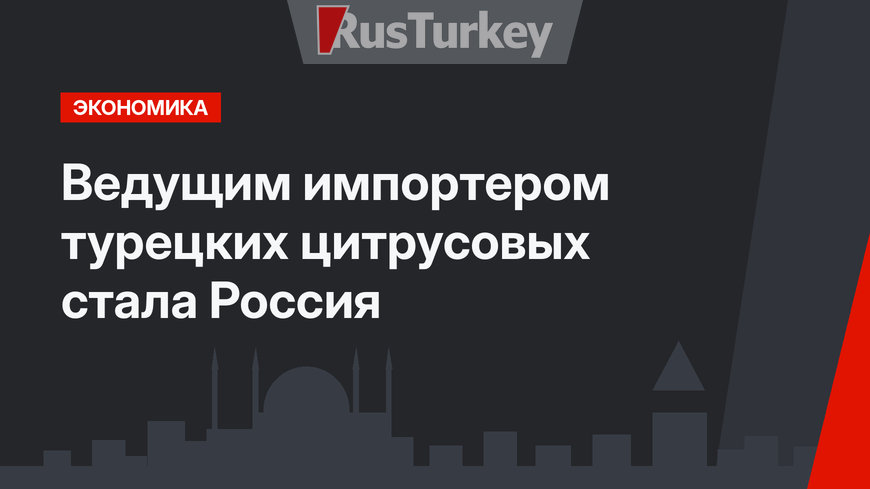 Ведущим импортером турецких цитрусовых стала Россия