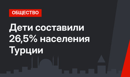 Дети составили 26,5% населения Турции