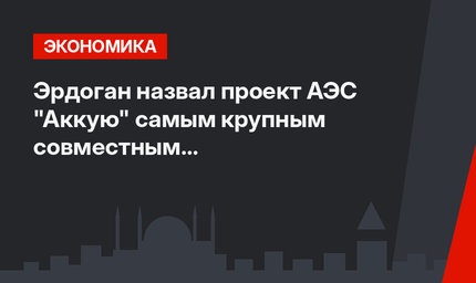 Эрдоган назвал проект АЭС "Аккую" самым крупным совместным с РФ капиталовложением Турции.