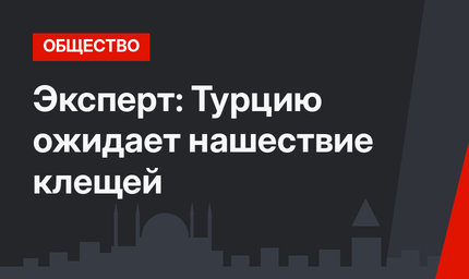 Эксперт: Турцию ожидает нашествие клещей