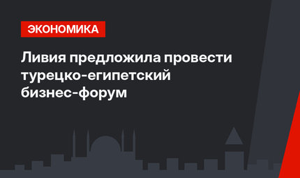 Ливия предложила провести турецко-египетский бизнес-форум