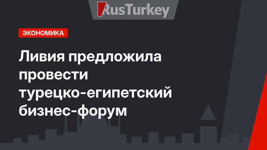 Ливия предложила провести турецко-египетский бизнес-форум
