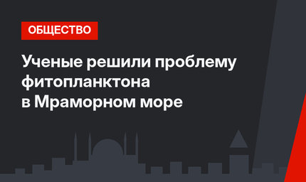 Ученые решили проблему фитопланктона в Мраморном море