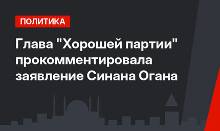 Глава "Хорошей партии" прокомментировала заявление Синана Огана