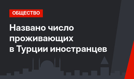 Названо число проживающих в Турции иностранцев