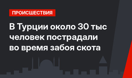 В Турции около 30 тыс человек пострадали во время забоя скота