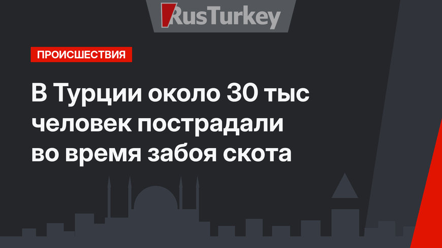 В Турции около 30 тыс человек пострадали во время забоя скота