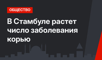В Стамбуле растет число заболевания корью