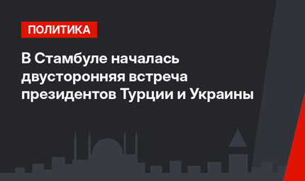 В Стамбуле началась двусторонняя встреча президентов Турции и Украины