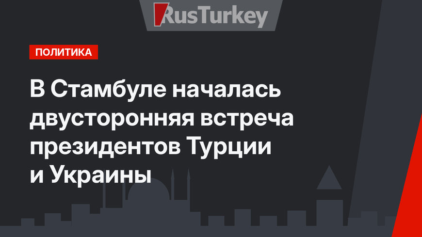 В Стамбуле началась двусторонняя встреча президентов Турции и Украины