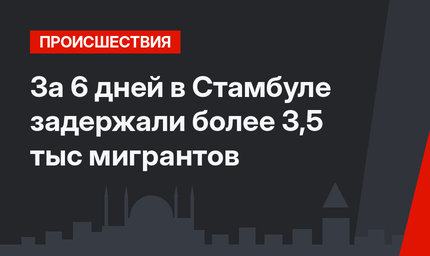 За 6 дней в Стамбуле задержали более 3,5 тыс мигрантов