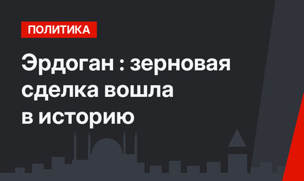 Эрдоган : зерновая сделка вошла в историю