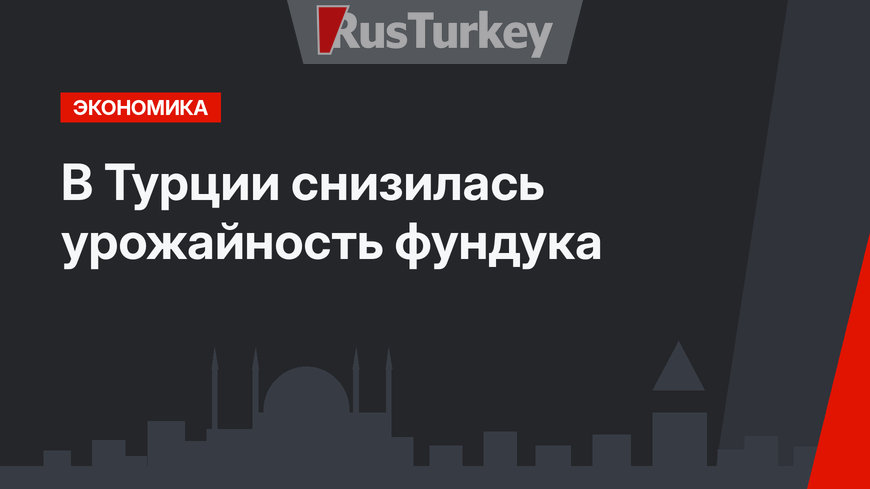 В Турции снизилась урожайность фундука