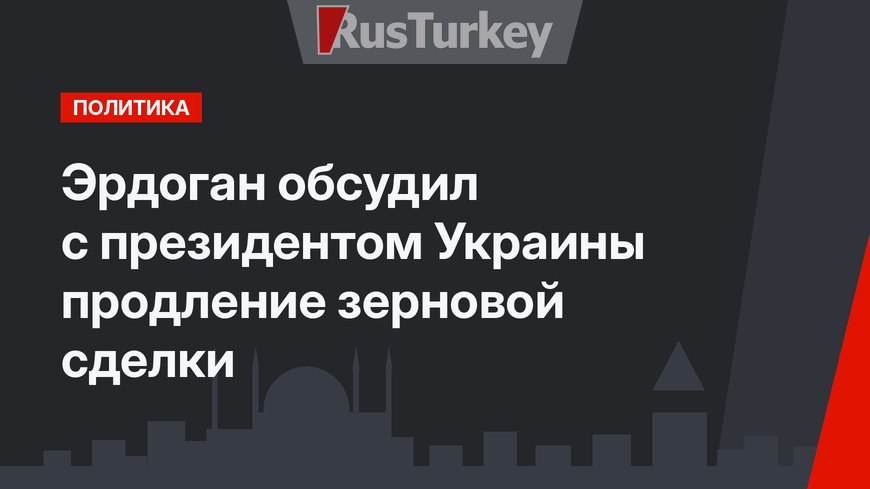 Эрдоган обсудил с президентом Украины продление зерновой сделки