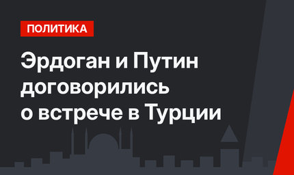 Эрдоган и Путин договорились о встрече в Турции