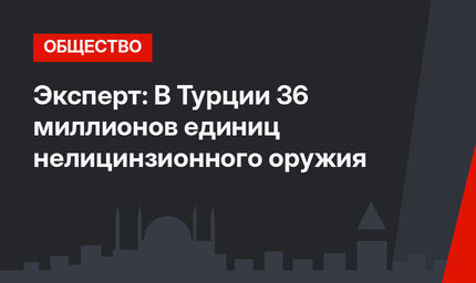 Эксперт: В Турции 36 миллионов единиц нелицинзионного оружия