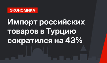 Импорт российских товаров в Турцию сократился на 43%