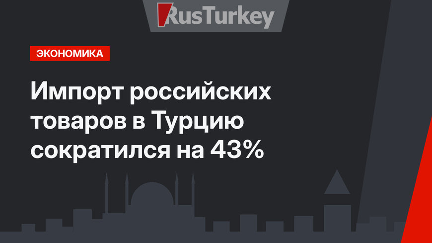 Импорт российских товаров в Турцию сократился на 43%