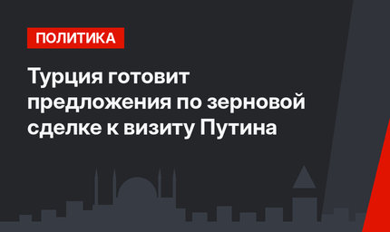 Турция готовит предложения по зерновой сделке к визиту Путина