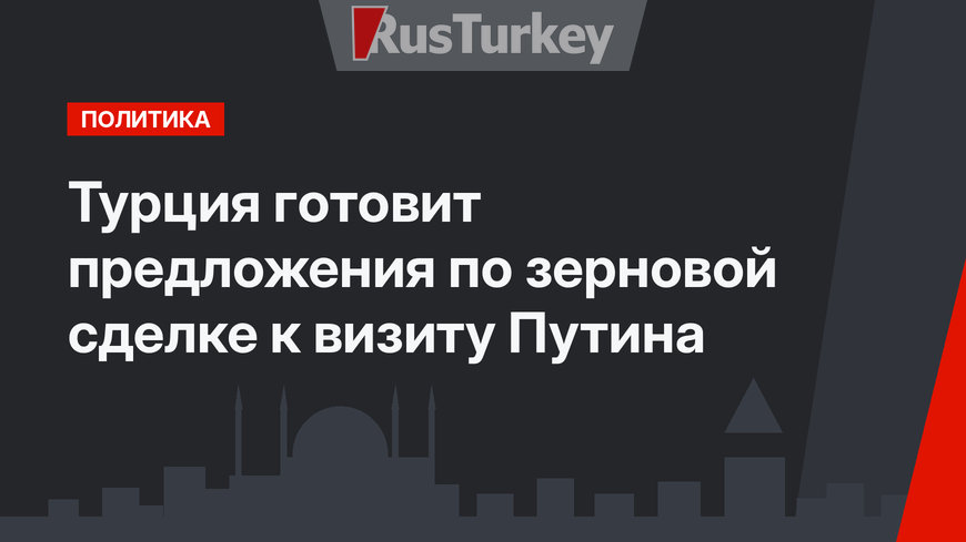 Турция готовит предложения по зерновой сделке к визиту Путина