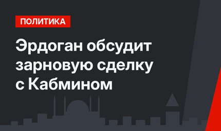 Эрдоган обсудит зарновую сделку с Кабмином