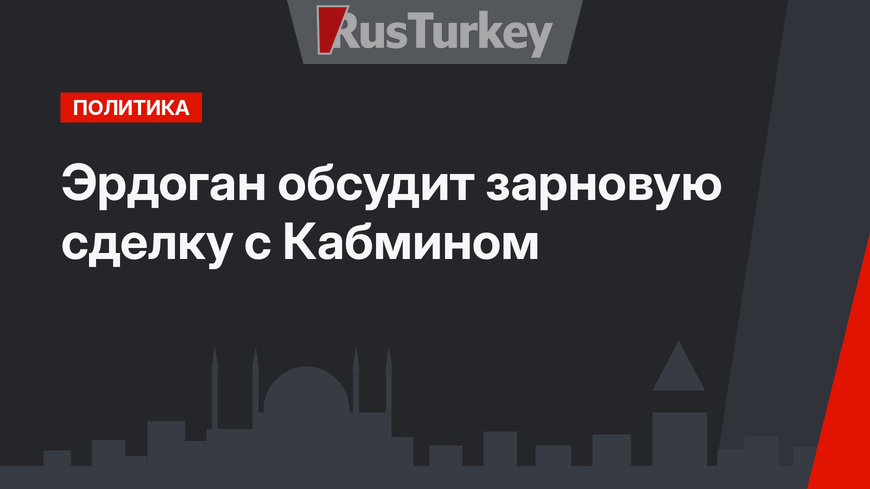 Эрдоган обсудит зарновую сделку с Кабмином