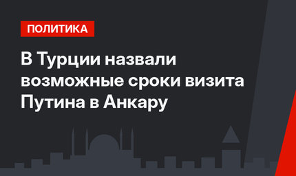 В Турции назвали возможные сроки визита Путина в Анкару