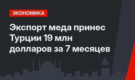 Экспорт меда принес Турции 19 млн долларов за 7 месяцев