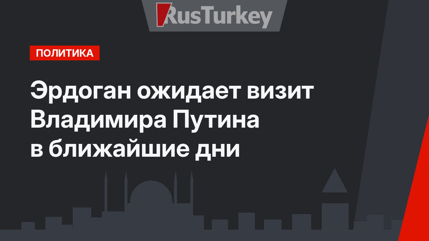 Эрдоган ожидает визит Владимира Путина в ближайшие дни