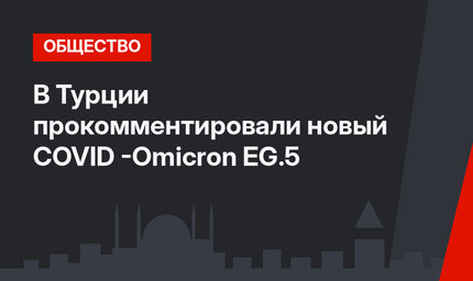 В Турции прокомментировали новый  COVID -Omicron EG.5