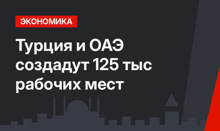 Турция и ОАЭ создадут 125 тыс рабочих мест